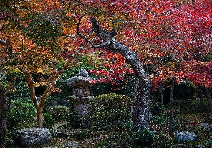 Enkoji Temple 11-2795.jpg